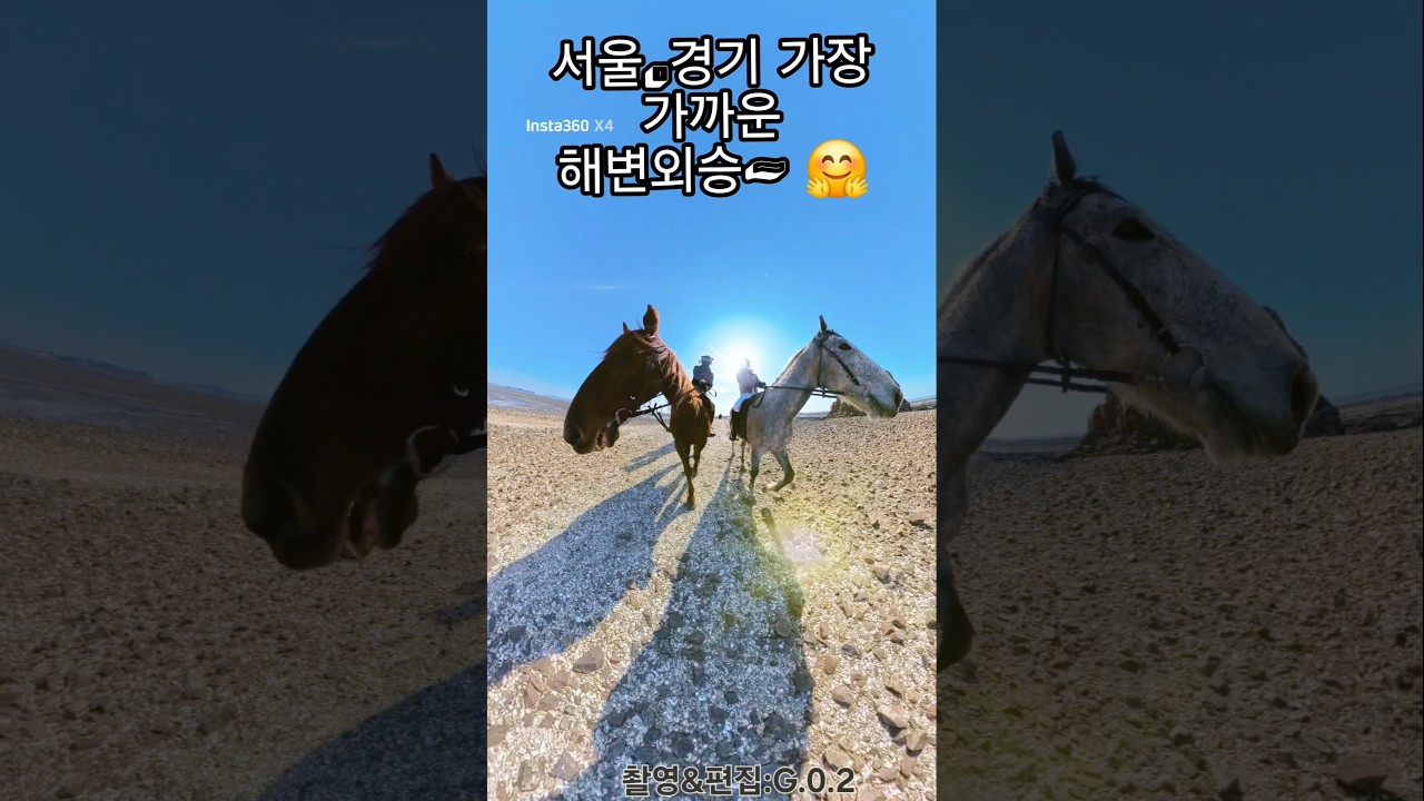 제부도에서 외승이🏇 가능했다구?😱/26.2.21/제부도 그린승마장🐴