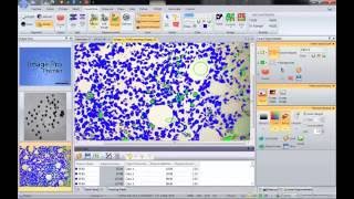 Image-Pro Premier - Automatically Count and Measure Objects