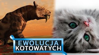 Hipermięsożerne, szablastozębne, zabójcze koty - ewolucja kotowatych