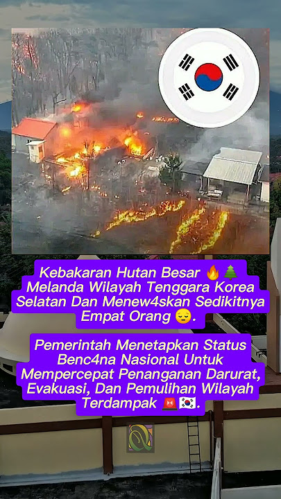 Korea Selatan Tetapkan Status Benc4na Nasional Akibat Kebakaran Hutan