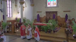 Palm Sunday of the Passion of the Lord