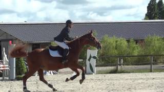 Elise & Java - CSO Club 2 Haras des Côtes 25/06/2017