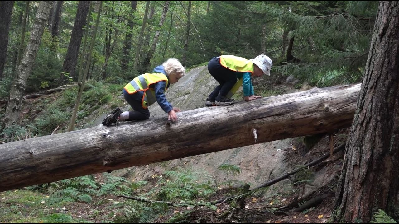 Myrekärrsvägens förskola inspirerar till rörelseglädje