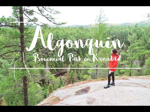 Ein typisch Kanadisches Wochenende im Algonquin Provincial Park | The Black Hoodie Blog