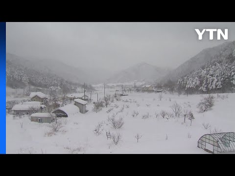 [Weather] Heavy snow alert nationwide tomorrow... Temperatures rise and cold wave eases / YTN