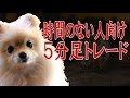 帰宅後の限られた時間でトレードするための考え方。