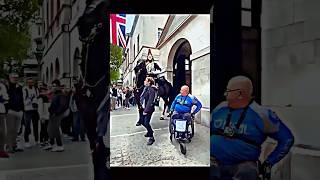 King Horse Reaction To Strangers, Watch Till The End Of Video