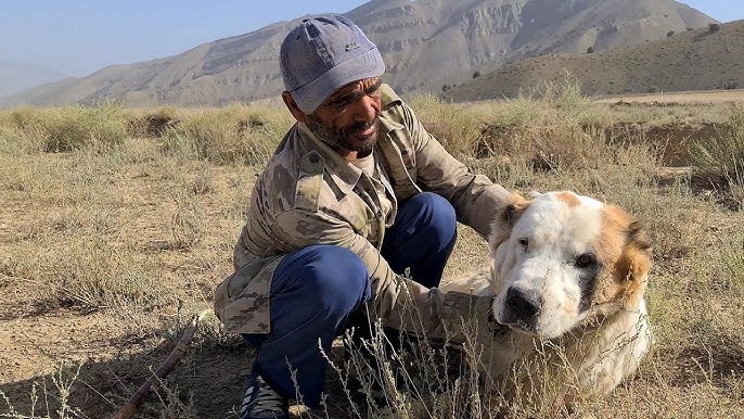 Ылғал киска ххх фотосы