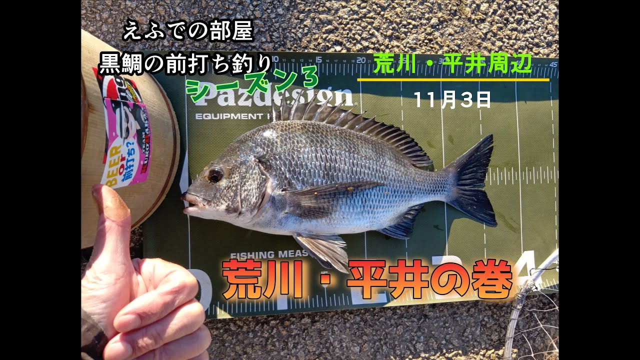 東京湾の前打ち：荒川・平井の巻