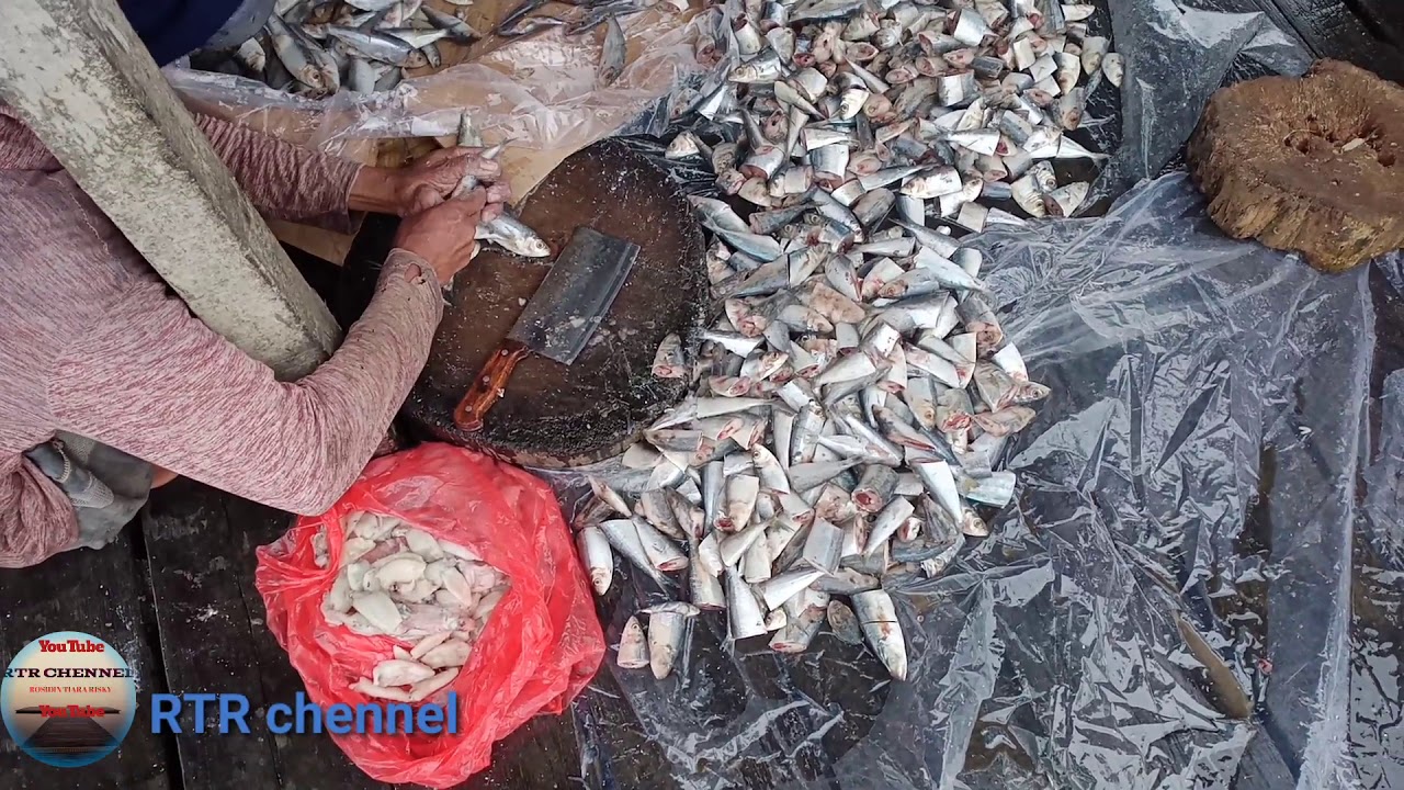 kasik makan ikan hujan"...... 
