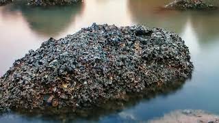 Review Lensa Casiotel 15mm F4 Frame Detailnya Sangat Memuaskan  Bukan Laowa 15mm 