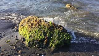 Gental Ocean Waves By Langley, Whidbey Island