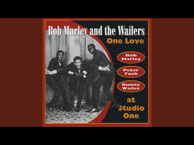 Bob Marley WAILERS Rude Boy 7’ Rude Boy - song and lyrics by Bob Marley & The Wailers | Spotify
