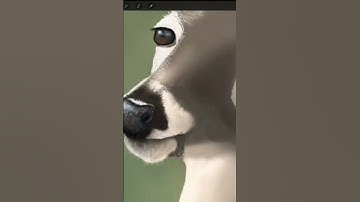 White-tailed Deer (painted on iPad in ProCreate)