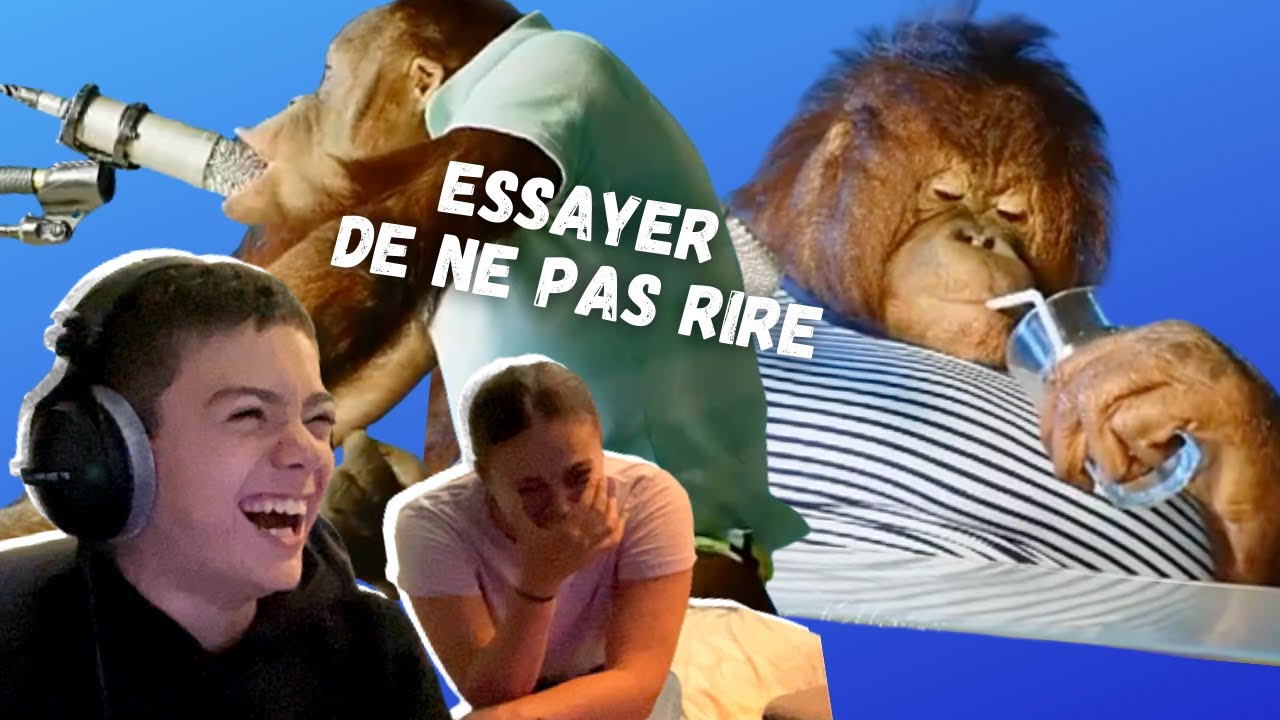 LA VIDEO DE SINGE LA PLUS DROLE D'INTERNET 🤣