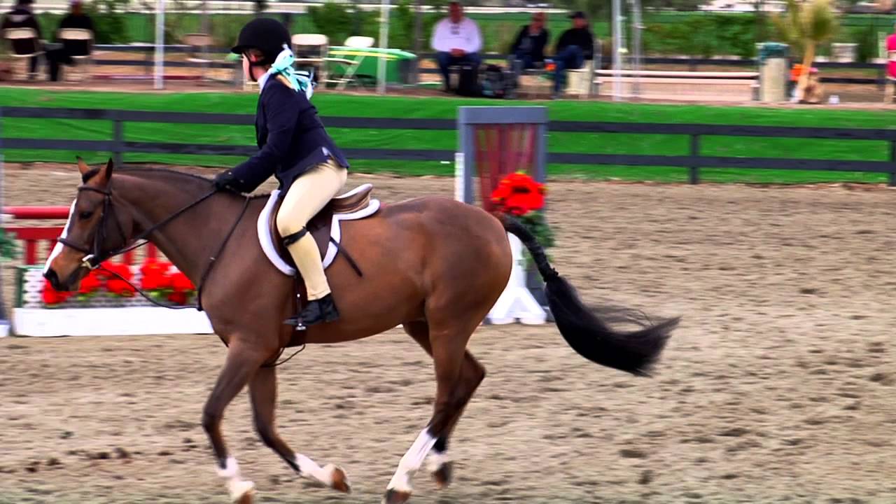 Madison Hawkins Thermal Horse Show 2014 YouTube