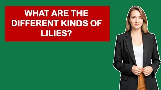 What Are The Different Kinds Of Lilies?
