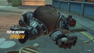 Overwatch -  Ready To Go Whole Hog! (POTG)