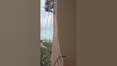 ideal bird netting service