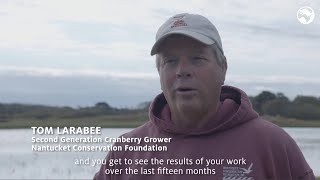 Naturals - Inspiring Story: Cranberry, all about the berries