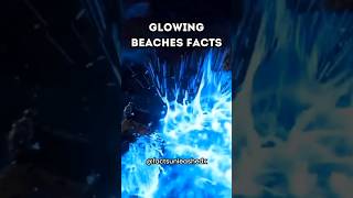 Enchanting Glowing Beaches - Natures Nighttime Spectacle glowing beach nature shorts subscribe