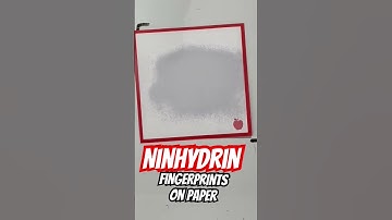 Fingerprinting Paper with Ninhydrin