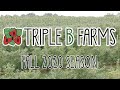 What to Expect for the Fall 2020 Season at Triple B Farms