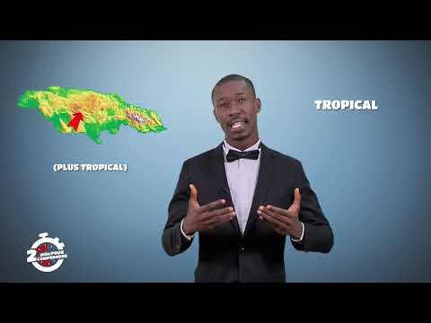 Vidéo: Est-il sûr de voyager en Jamaïque ?