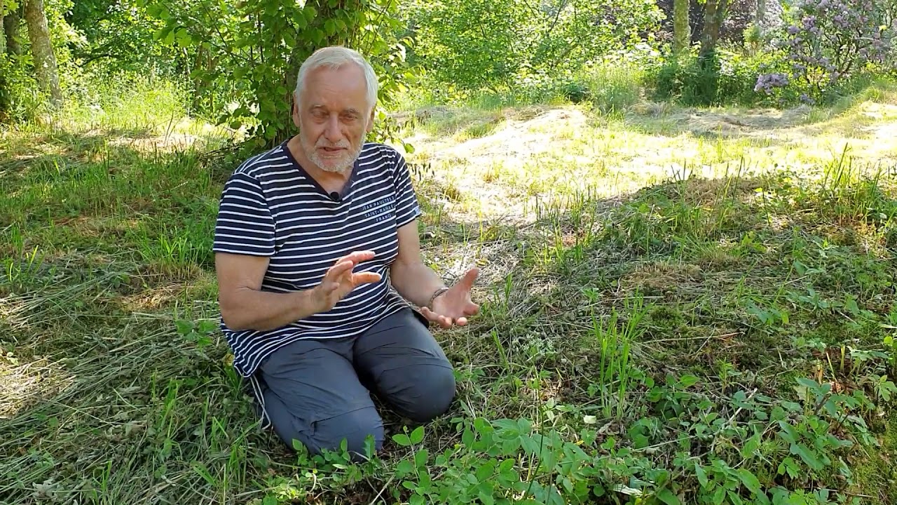 Gamlehagen på Store Milde (på Norsk)