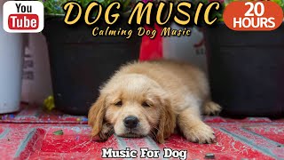 20 HOURS of Dog Calming Music🦮💖Relax my dog🐶🎵Anti Separation Anxiety Relief Music⭐Healingmate by HealingMate - Dog Music 41,780 views 3 weeks ago 20 hours