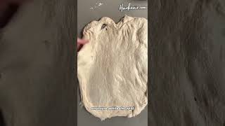 What Actually Makes Sourdough Starter PET Rise? (It’s ALIVE!) #food