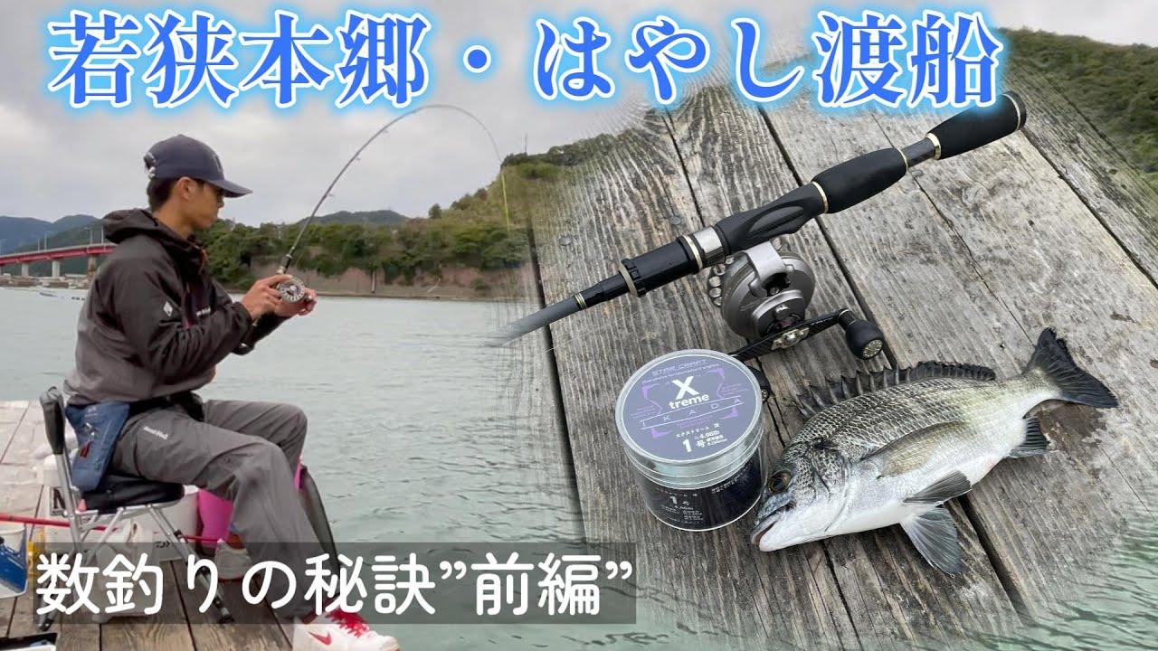 【かかり釣り】若狭本郷・はやし渡船　数釣りの秘訣”前編”