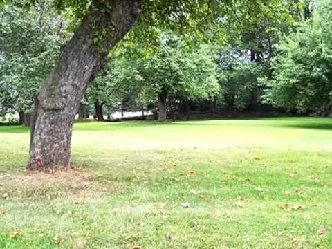 11 Pear Tree Lane, Dallas Township, PA home video tour