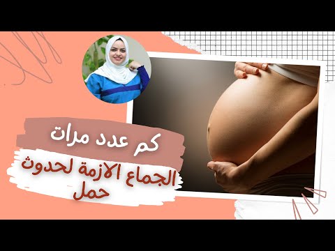 فيديو: كم عدد المرات اللازمة للحمل؟