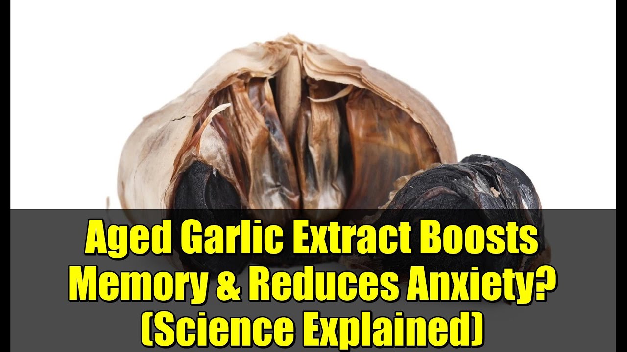 Выдержанный экстракт чеснока улучшает память и снижает тревожность? (Научное объяснение)