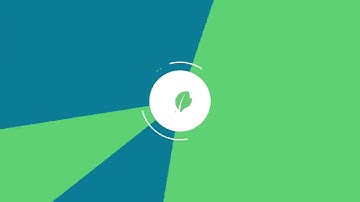 How Kabbage Loans Work