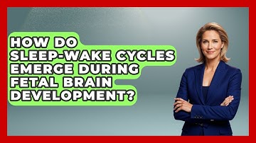 How Do Sleep-wake Cycles Emerge During Fetal Brain Development? - Brain Development Hub