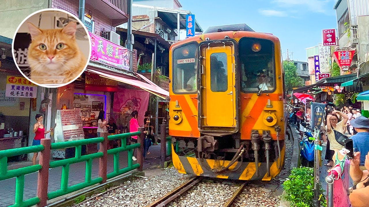 Всемирно известное место для кошек! Кошачья деревня Хоутонг на Тайване и старая улица Шифэнь 😺🇹🇼