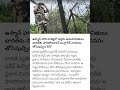 భారత్–బంగ్లాదేశ్ సరిహద్దులో ఉద్రిక్తతలు 🔥 అక్రమ చొరబాట్లకు అడ్డుకట్ట | BSF కీలక నిర్ణయం | #bsf
