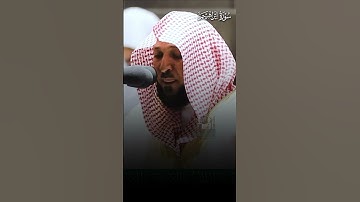تلاوة بديعة تفوق الوصف من سورة إبراهيم | تلاوة فضيلة الشيخ د.#ماهر_المعيقلي
