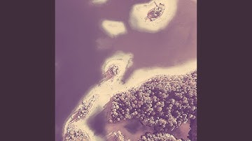 Pulsating Moods for Tropical Getaways