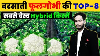 Cauliflower Top-8 Hybrid Variety | phool gobhi ki kismen | hybrid variety | gobhi ki kheti