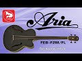 Електроакустична бас-гітара Aria FEB-F2M/FL STBR