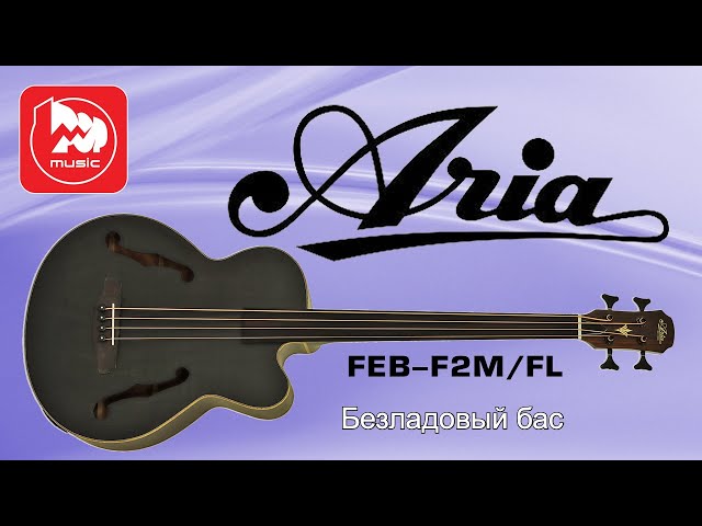 Електроакустична бас-гітара Aria FEB-F2M/FL STBR