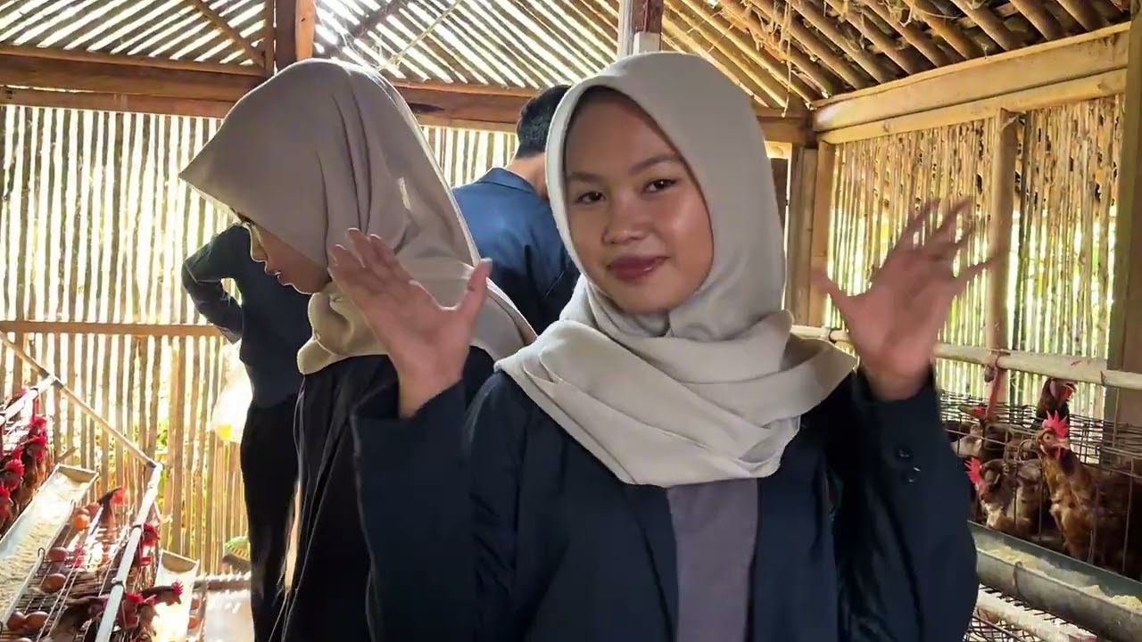 Belajar Langsung dari Peternak: WAWANCARA PETERNAK AYAM PETELUR || kelompok 1 || tugas PKWU