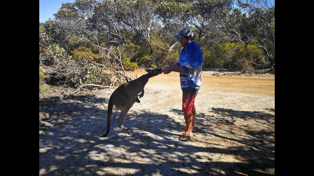 Camping Road Trip along Western Australia's Coast