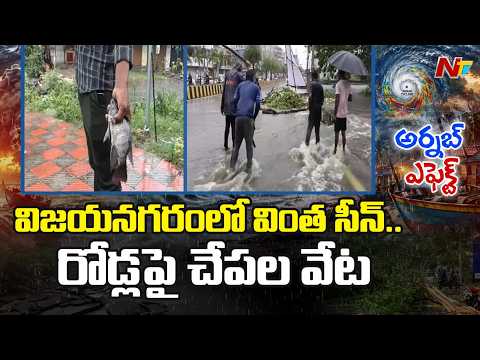 Cyclone Arnab Effect: Vizianagaram Residents Rush to Catch Fish on Roads | NTV Telugu - NTVTELUGU