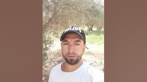 ما تيسر من سورة الاحزاب