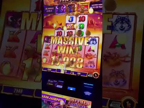 NOVO SLOT CASSINO PAGANDO 15 BÔNUS DE CADASTRO! SAQUE FREE! 2025