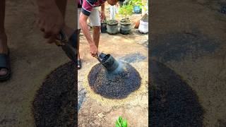 An Easy Way To Make Rice Husk Charcoal At Home  garden gardening plants gardening